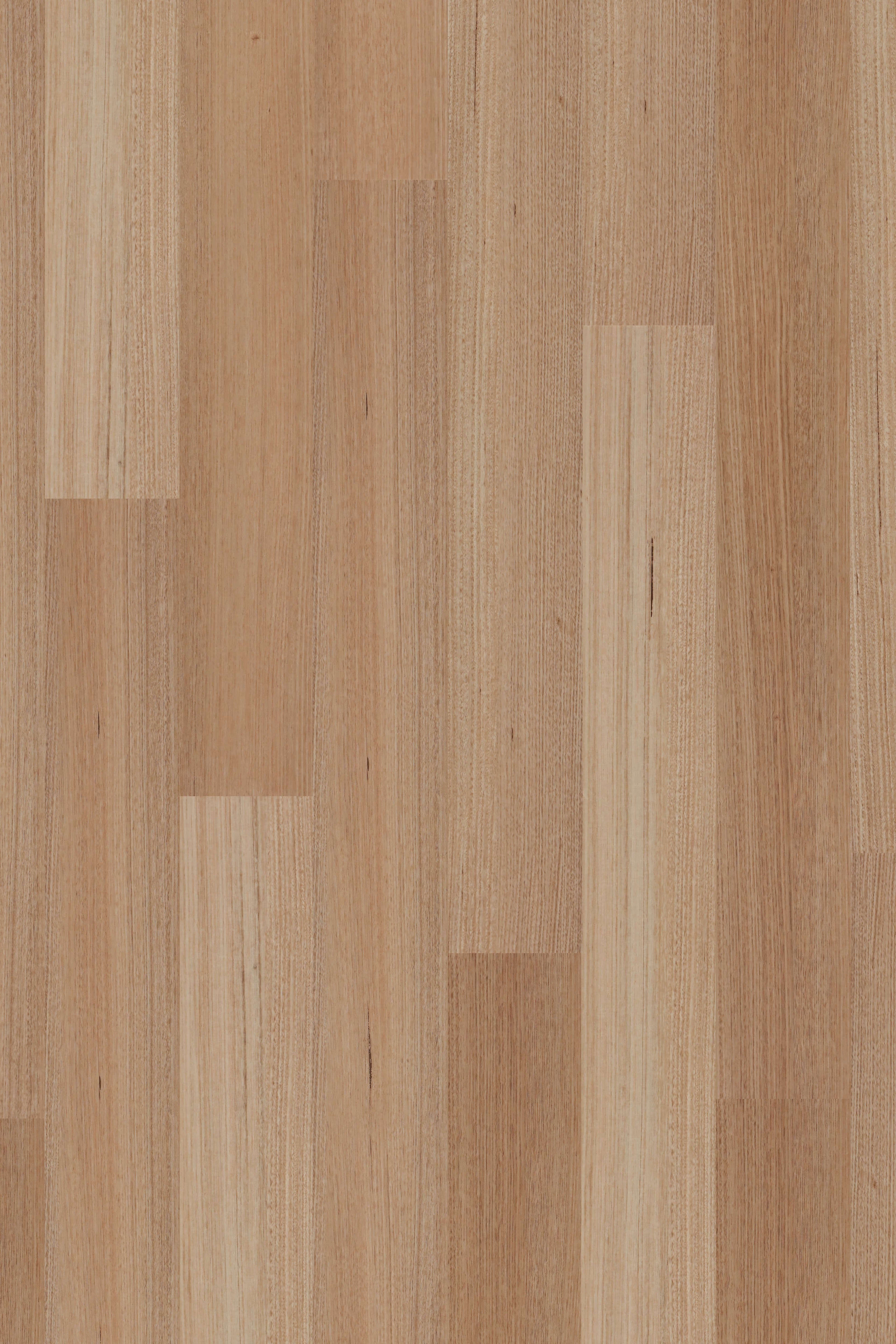 Tasmanian Oak