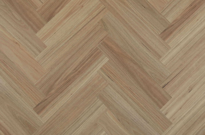 Blackbutt