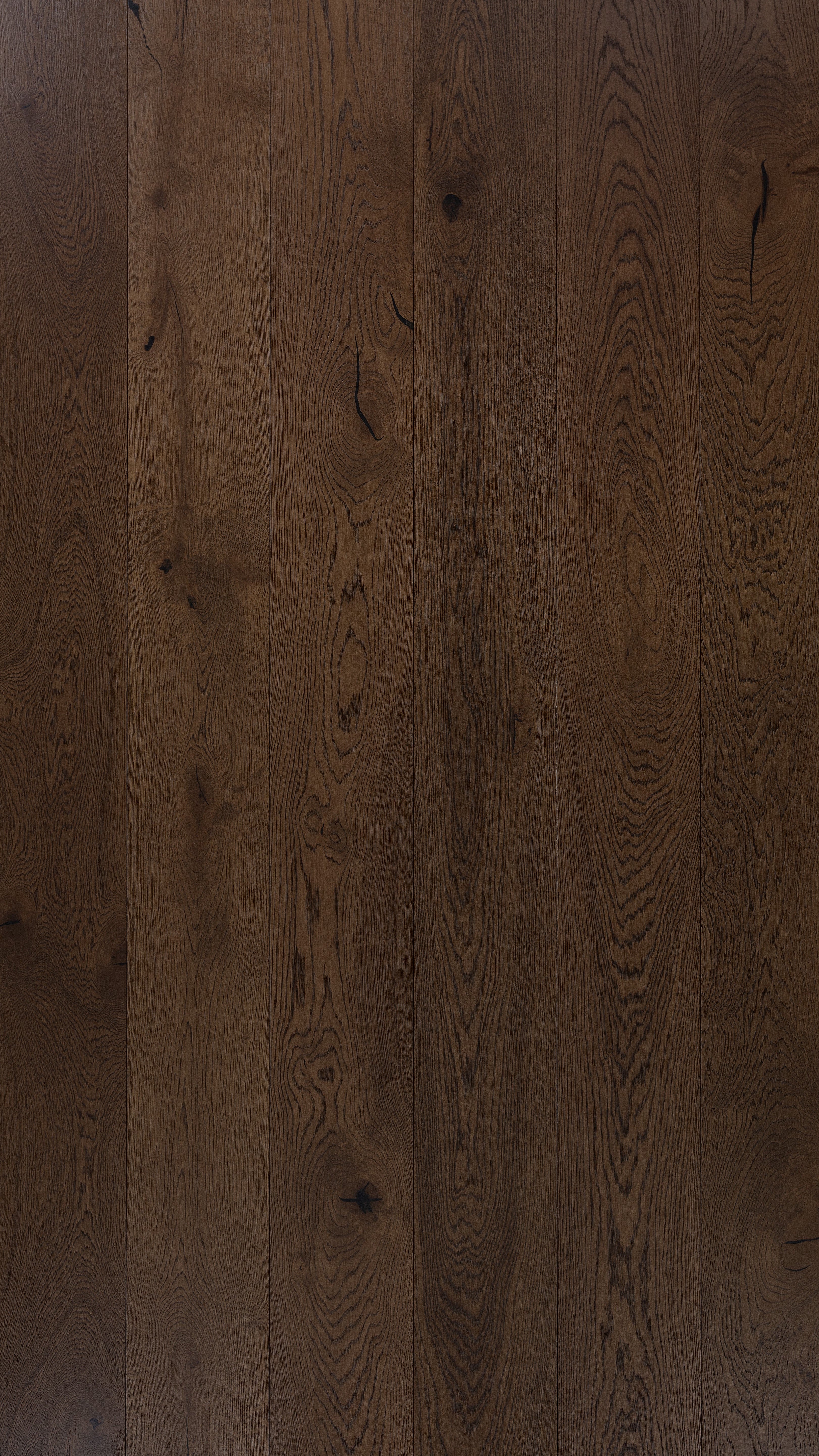 French Chestnut