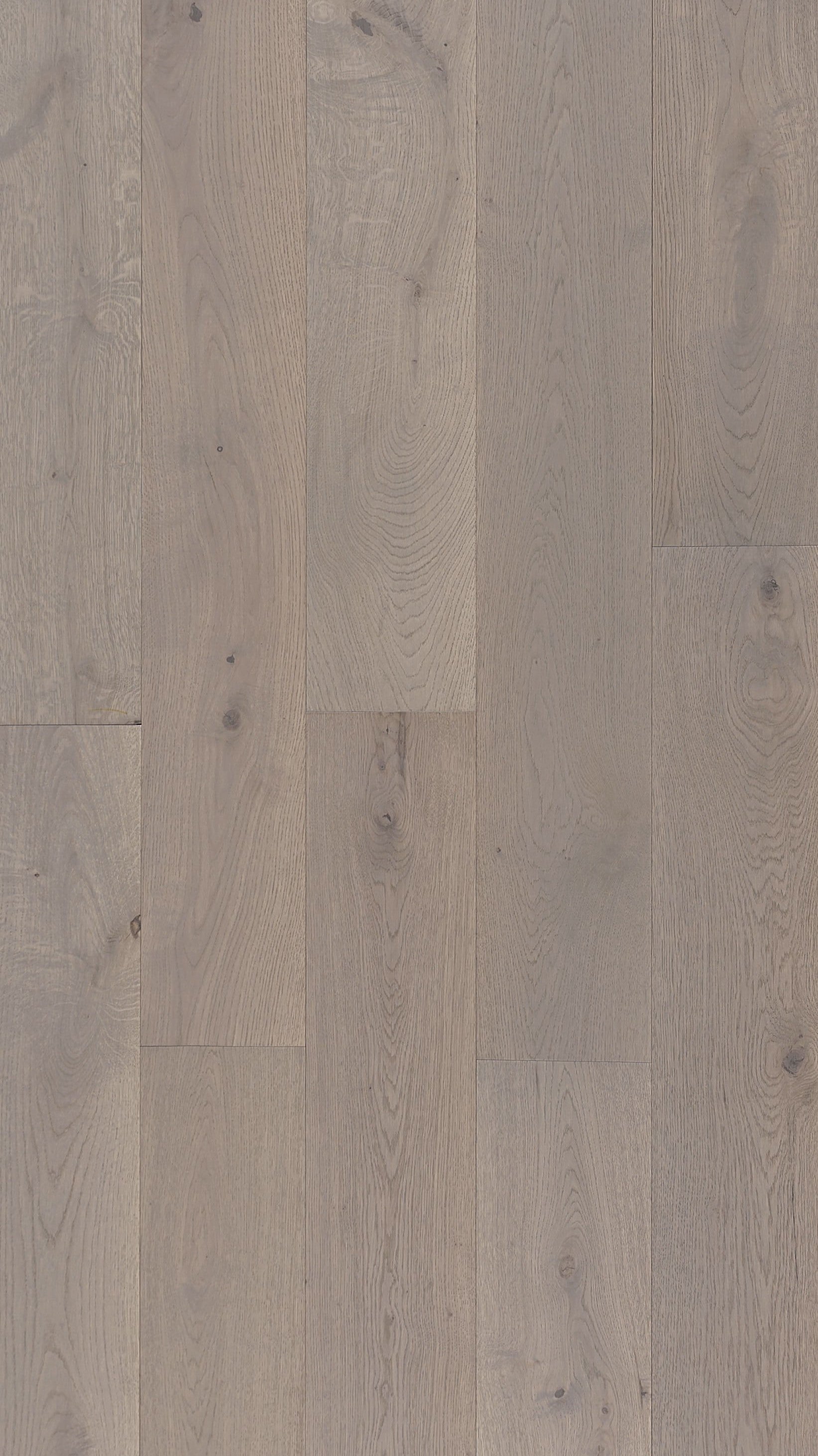 AMARETTI OAK