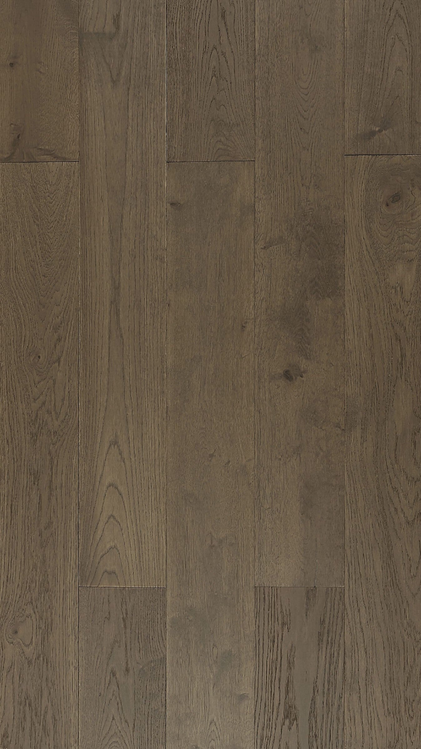 TRUFFLE OAK