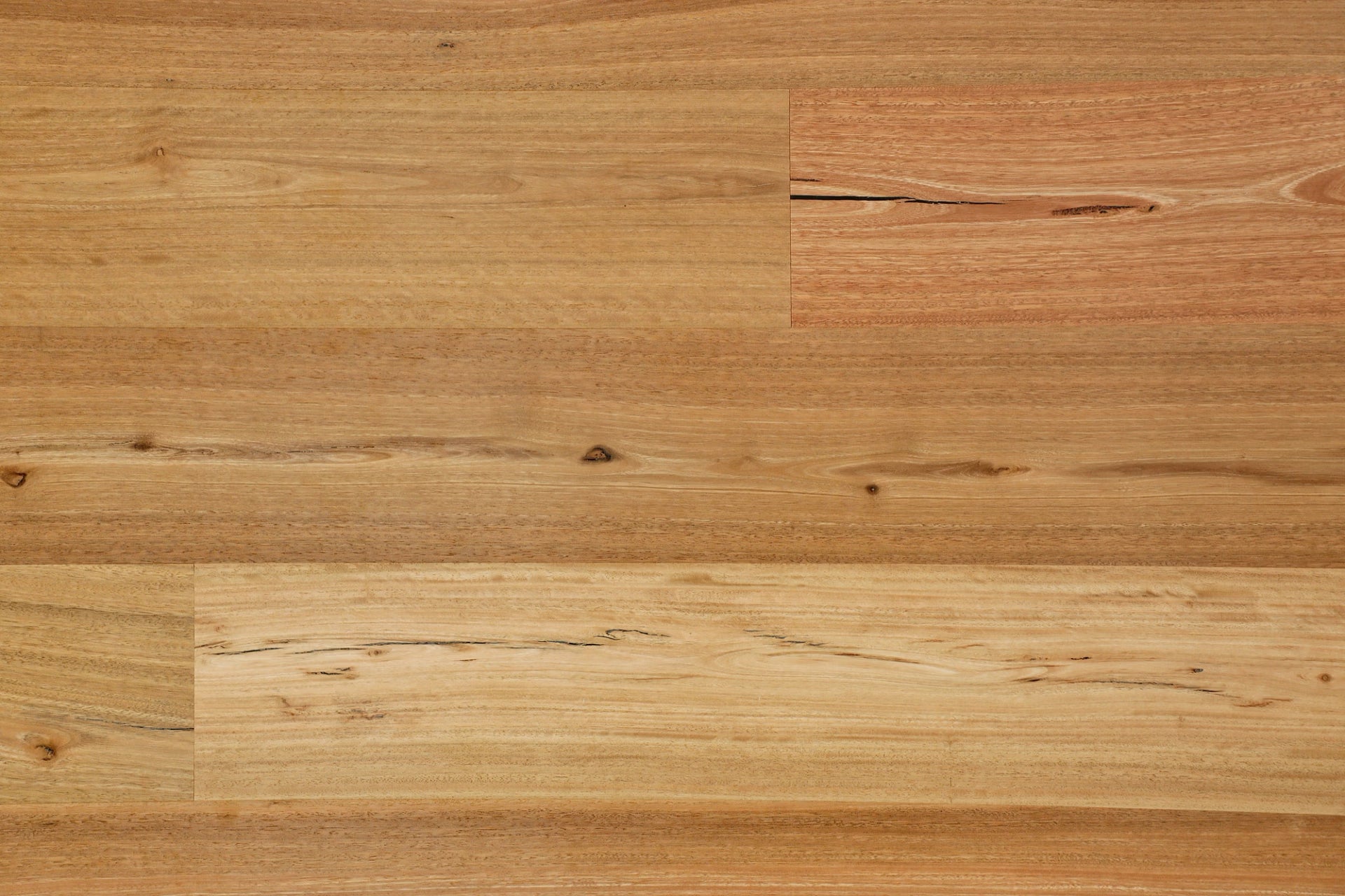 Spotted Gum Brushed