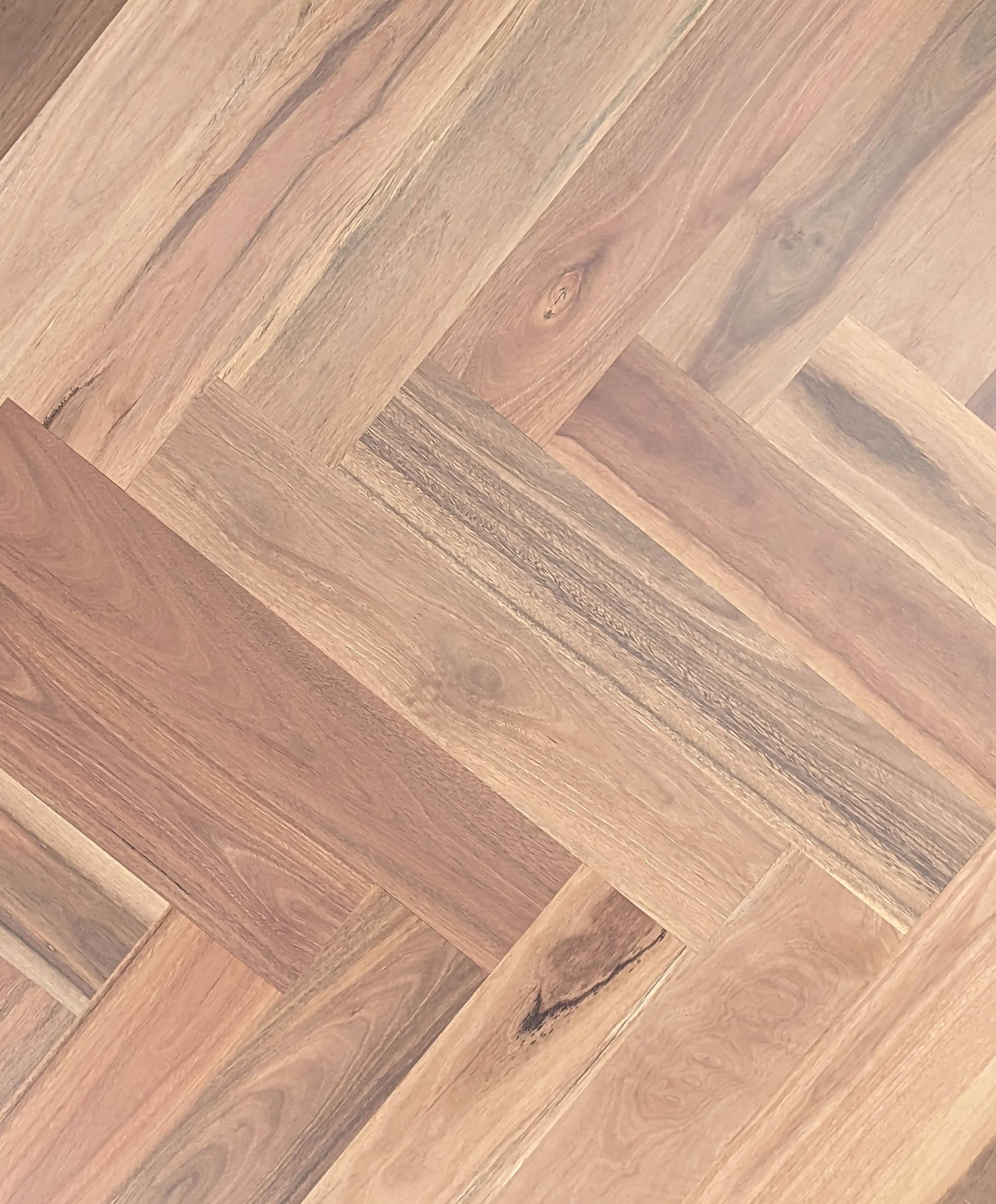 Spotted Gum Herringbone