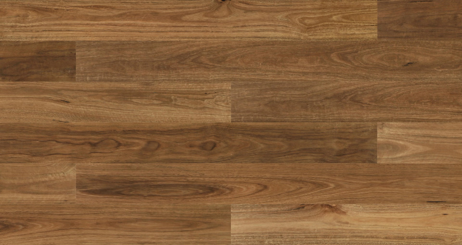 Woodland Spotted Gum