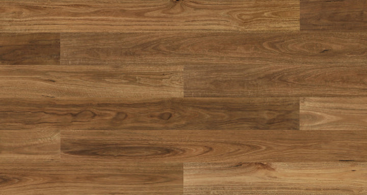 Woodland Spotted Gum