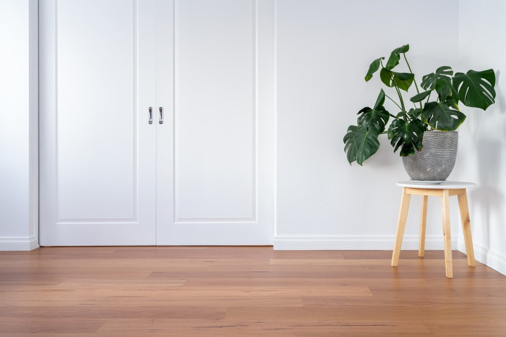 Blackbutt 190mm wide