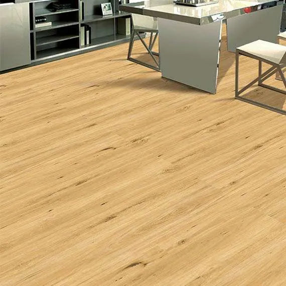 Coastal Blackbutt