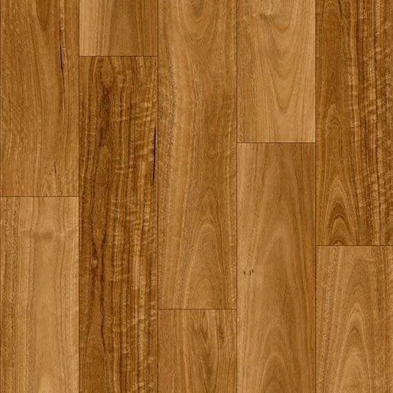 Murray River Spotted Gum