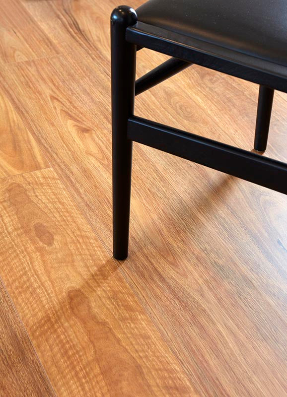 Spotted Gum