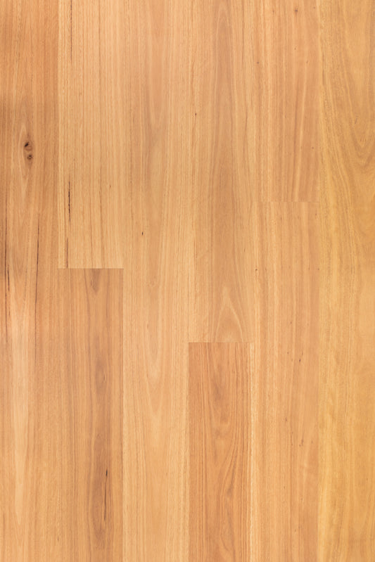 Blackbutt 136mm wide