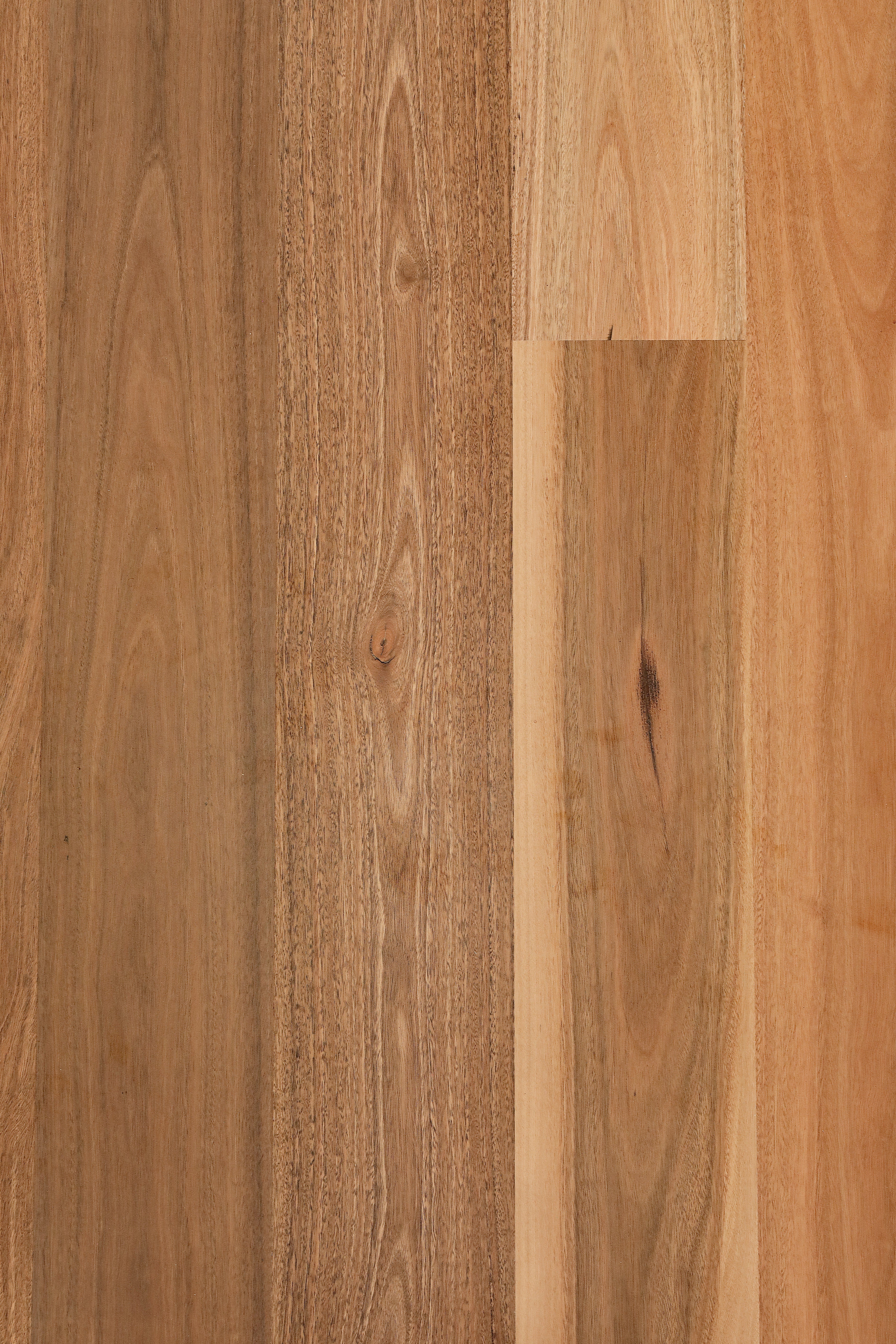 Spotted Gum 136mm wide