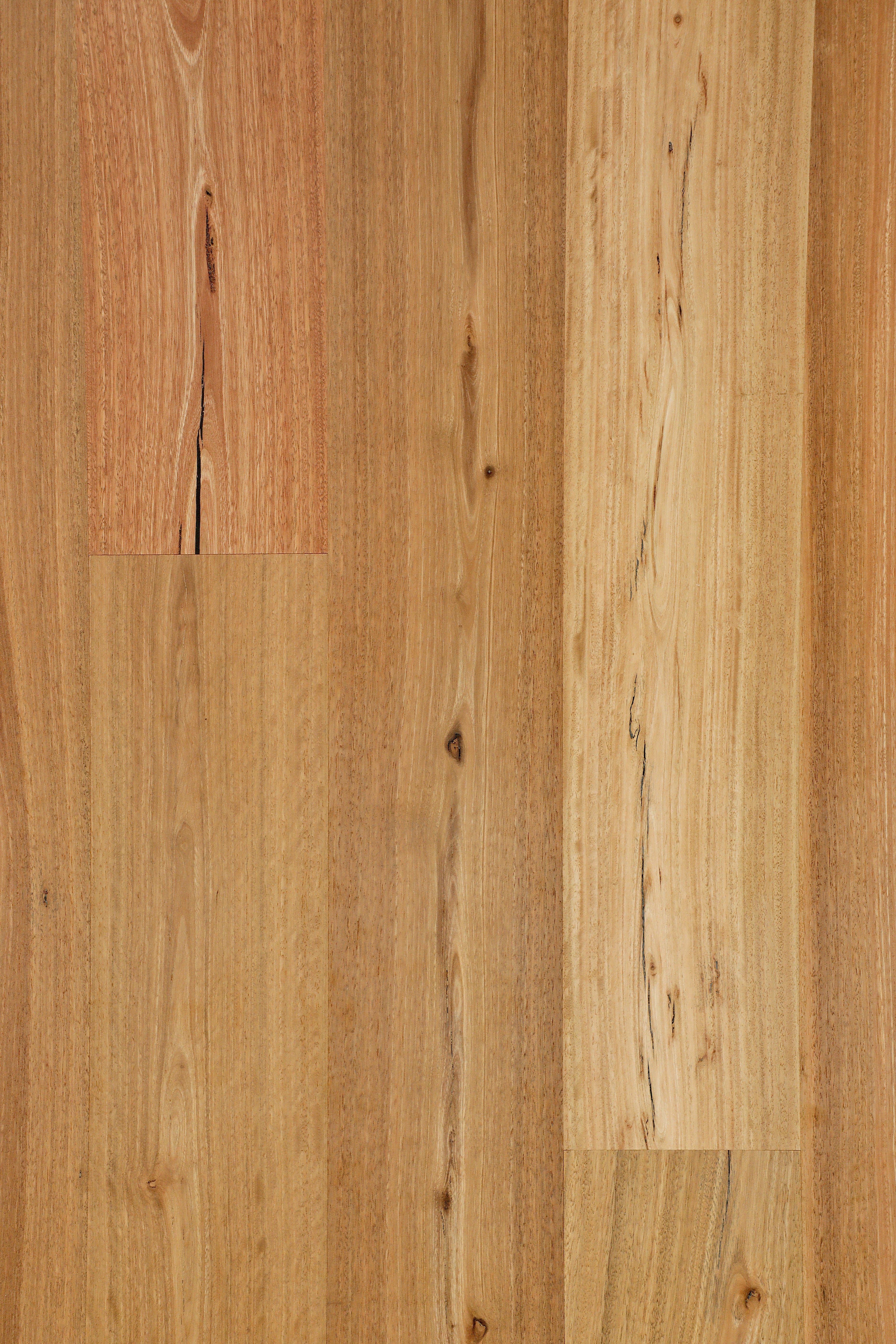 Spotted Gum 136mm Rustic