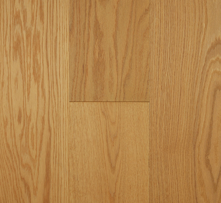 Forest Oak