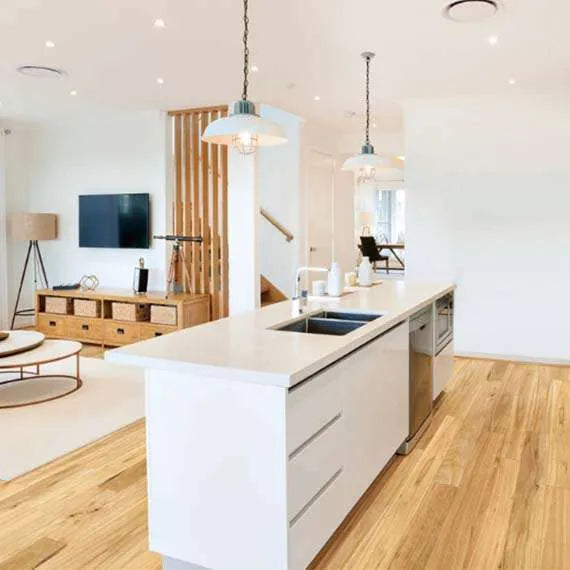 Blackbutt
