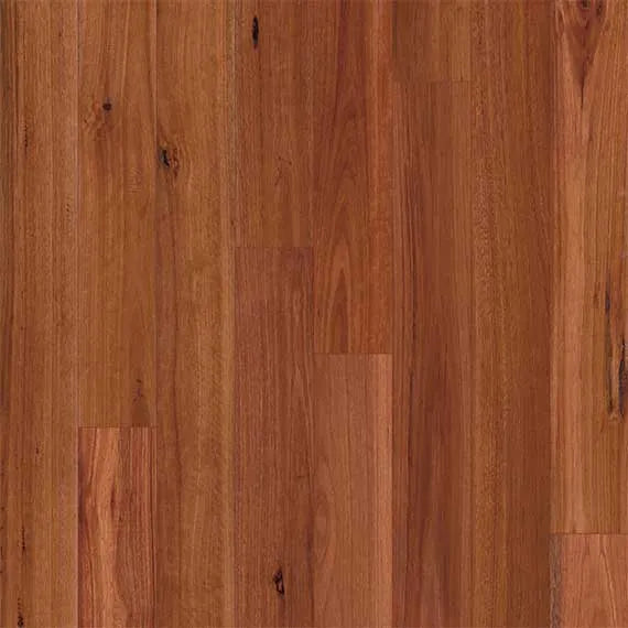 Blue Gum
