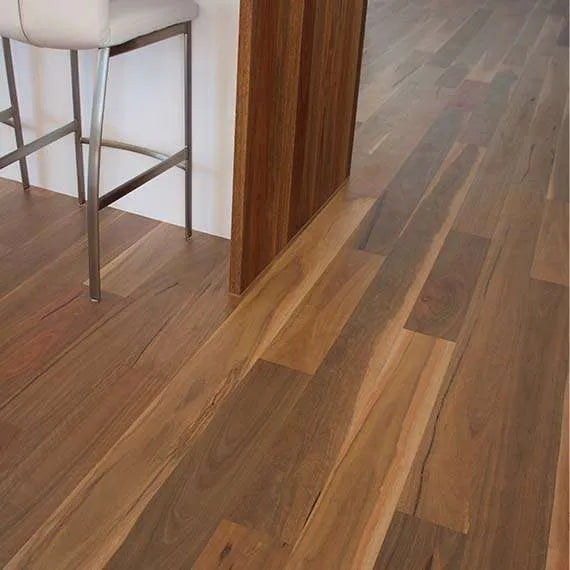 Spotted Gum