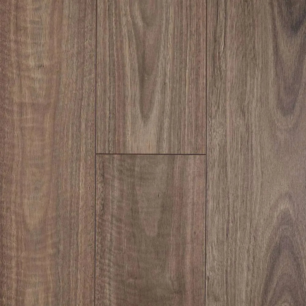 Spotted Gum