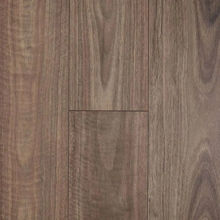 Spotted Gum
