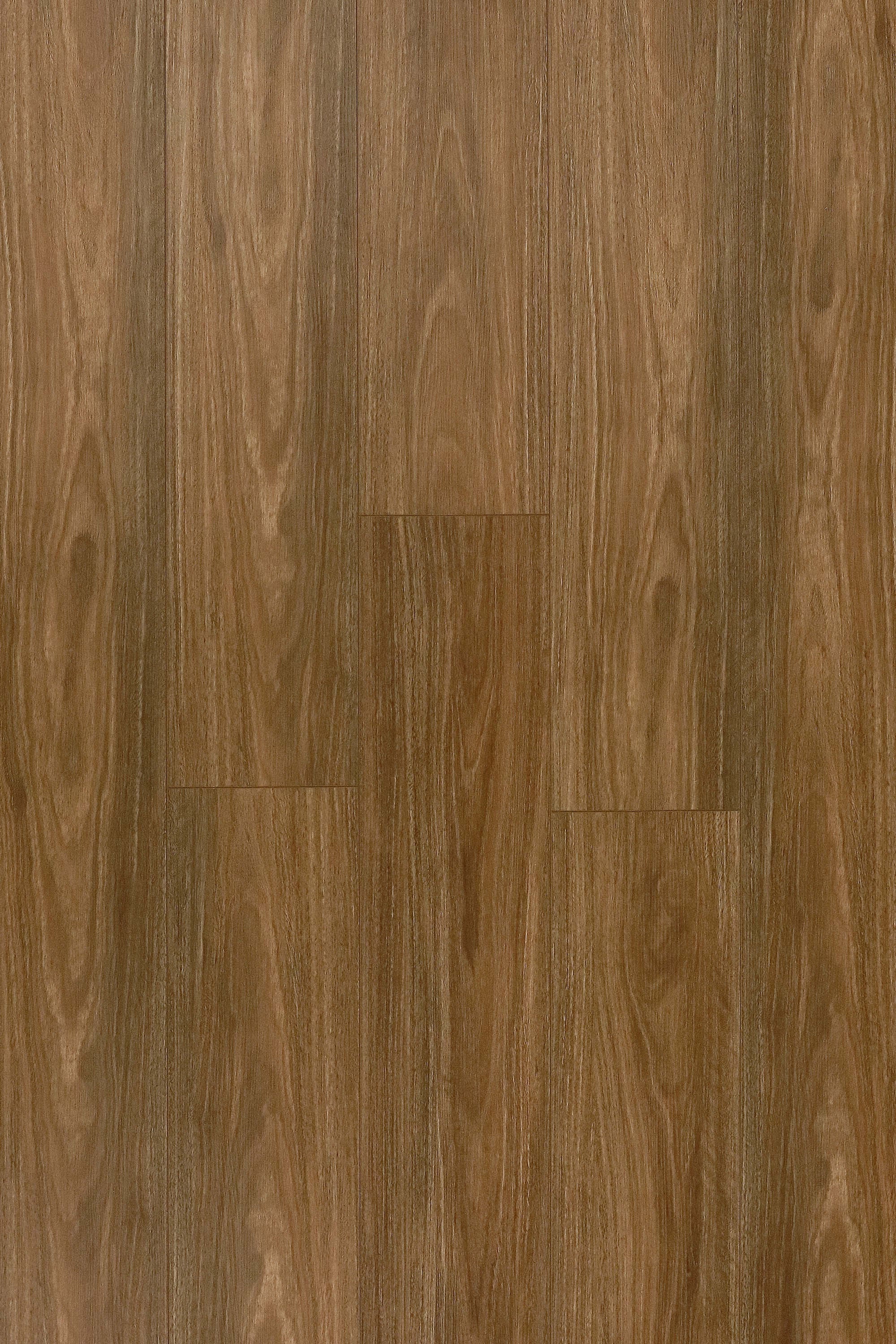 NSW Spotted Gum