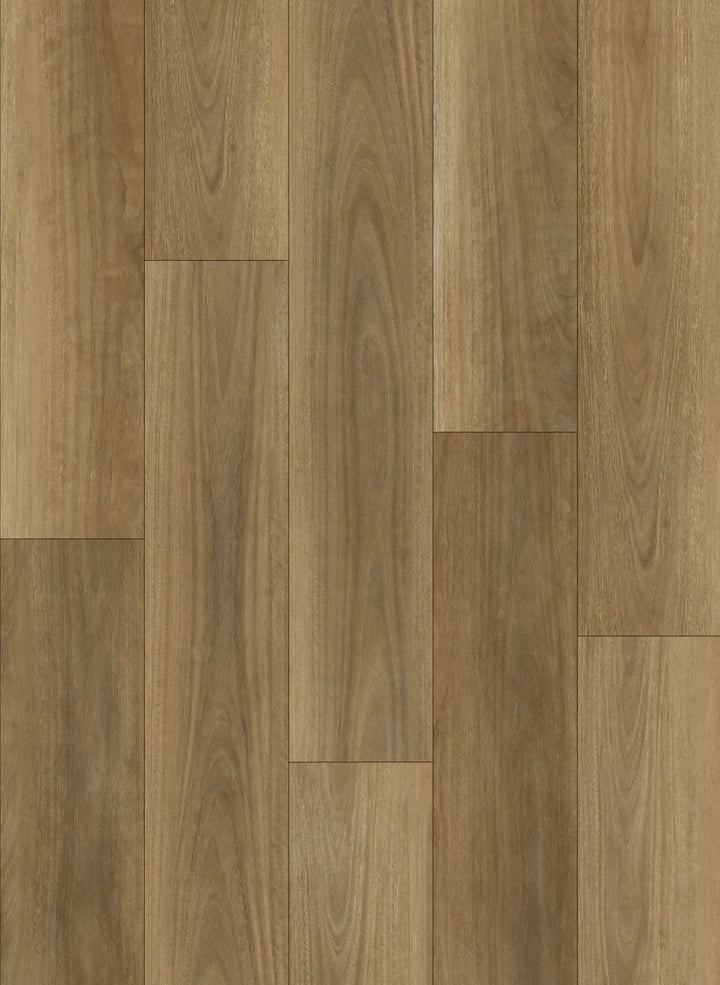 Northen Spotted Gum 7.5