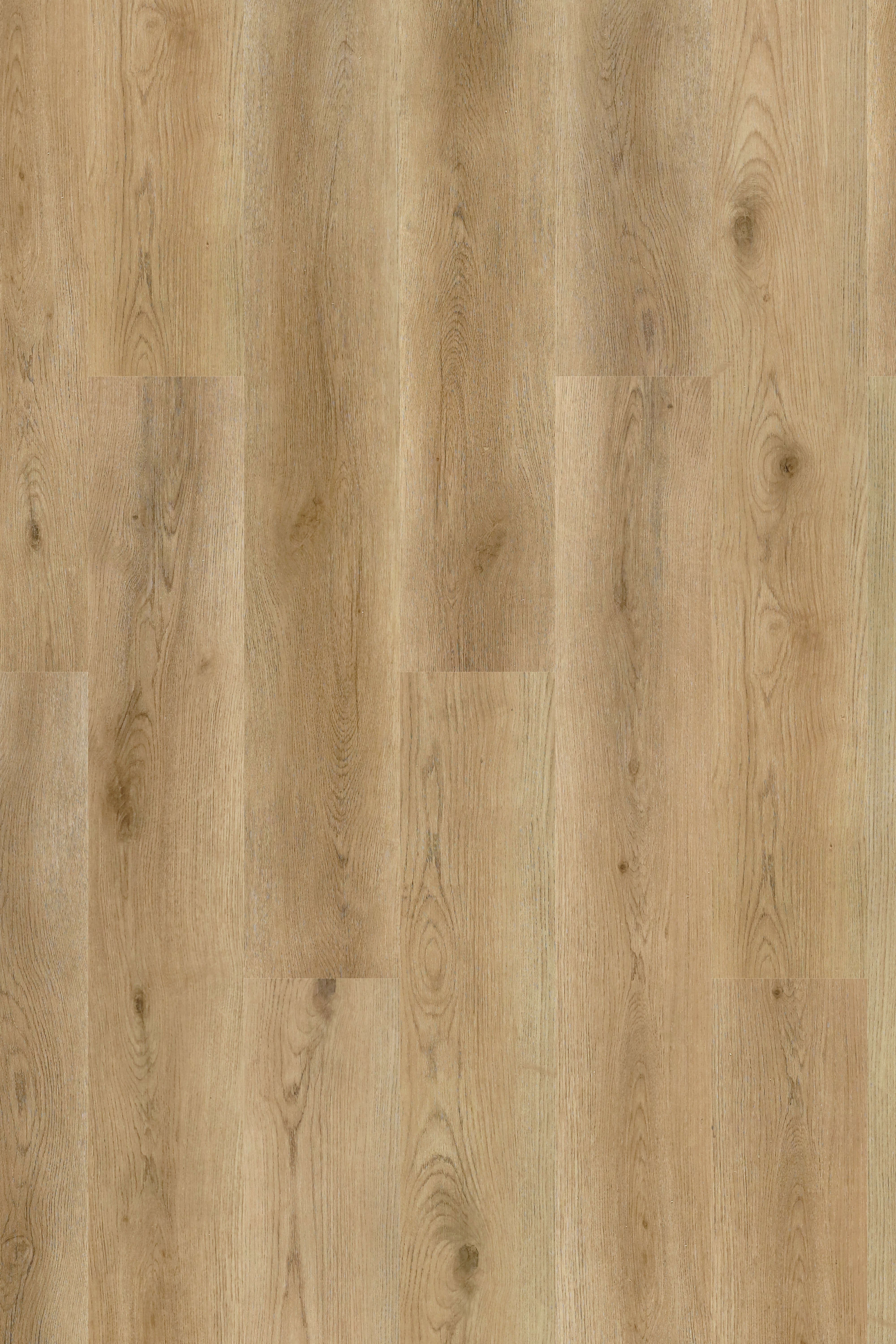 Oxford Oak