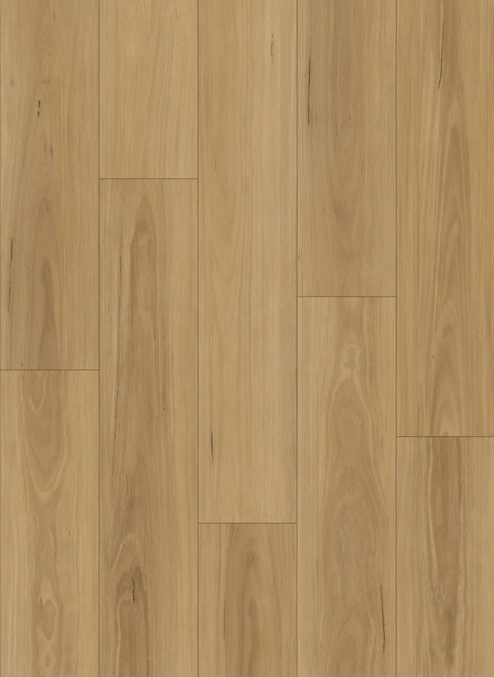 Pacific Blackbutt 7.5