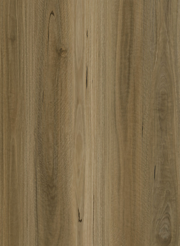 Raw Spotted Gum 7.5