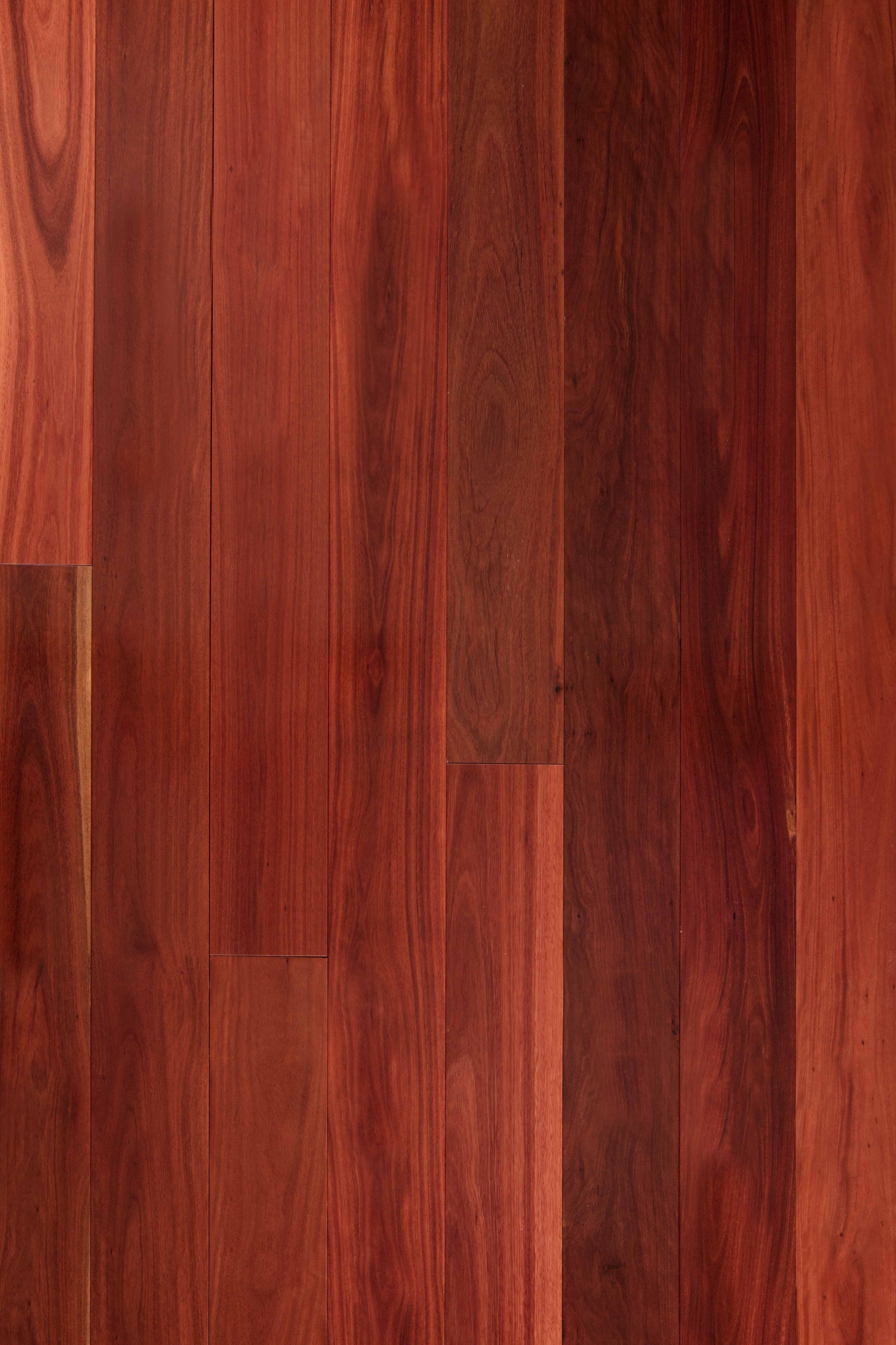 Red Iron Bark