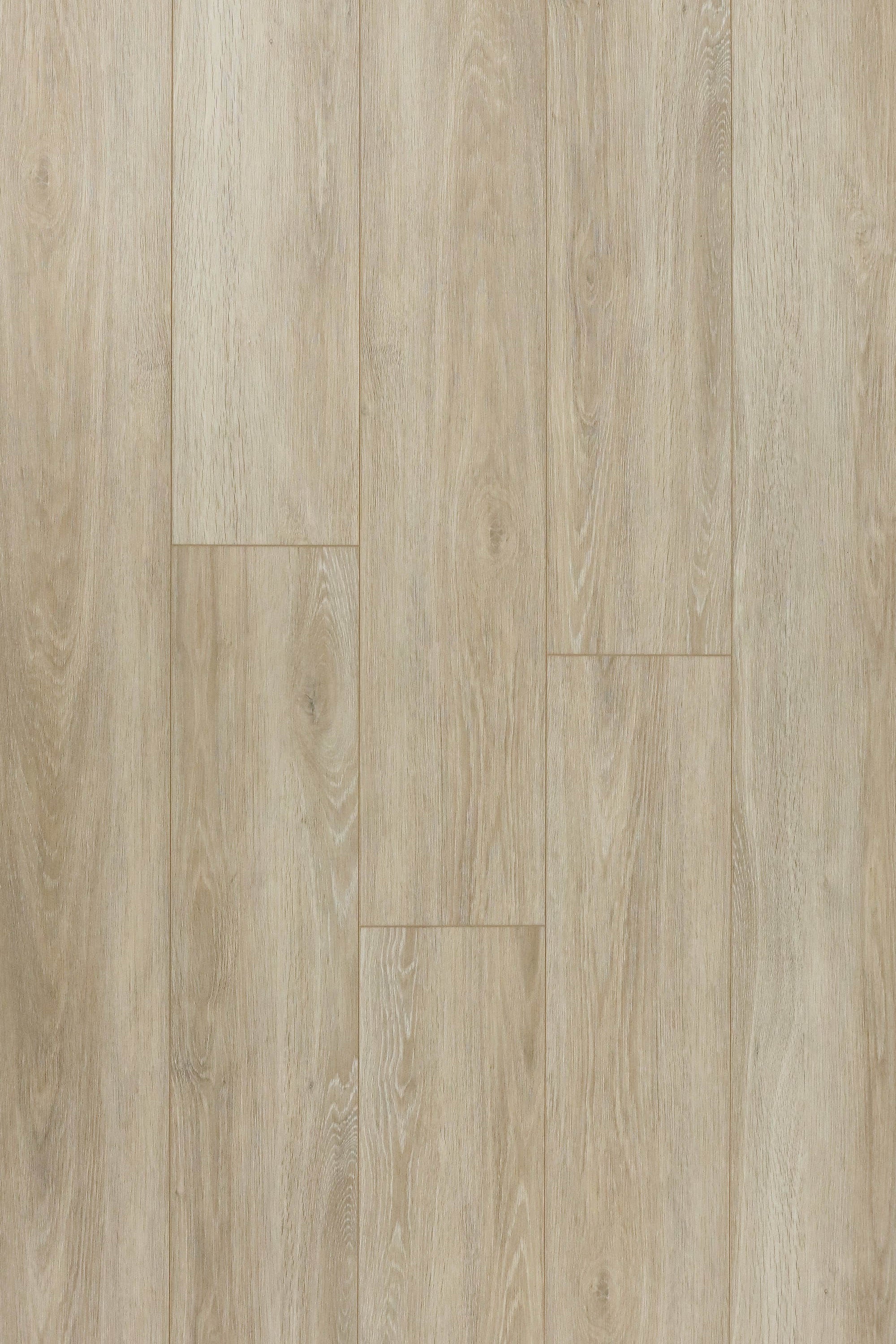 Royal White Oak