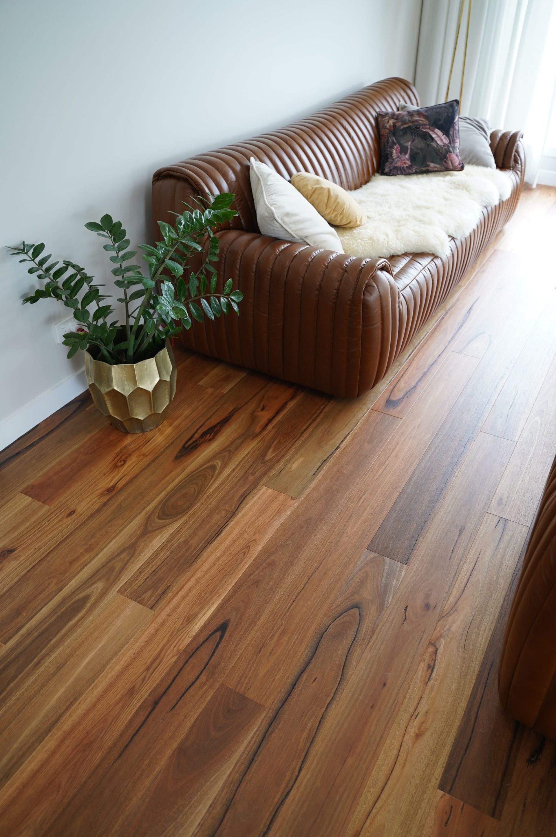 Rustic Spotted Gum