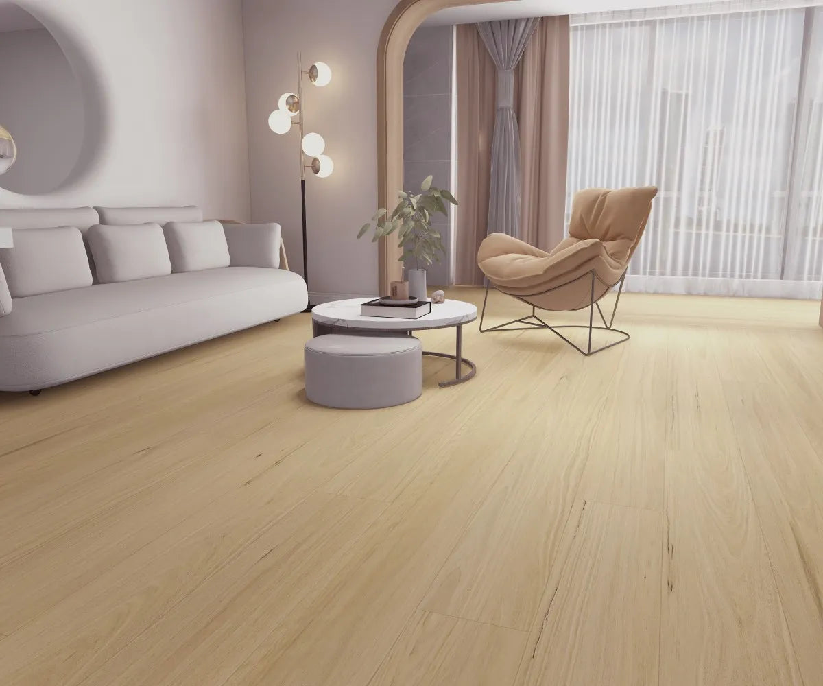 New England Blackbutt