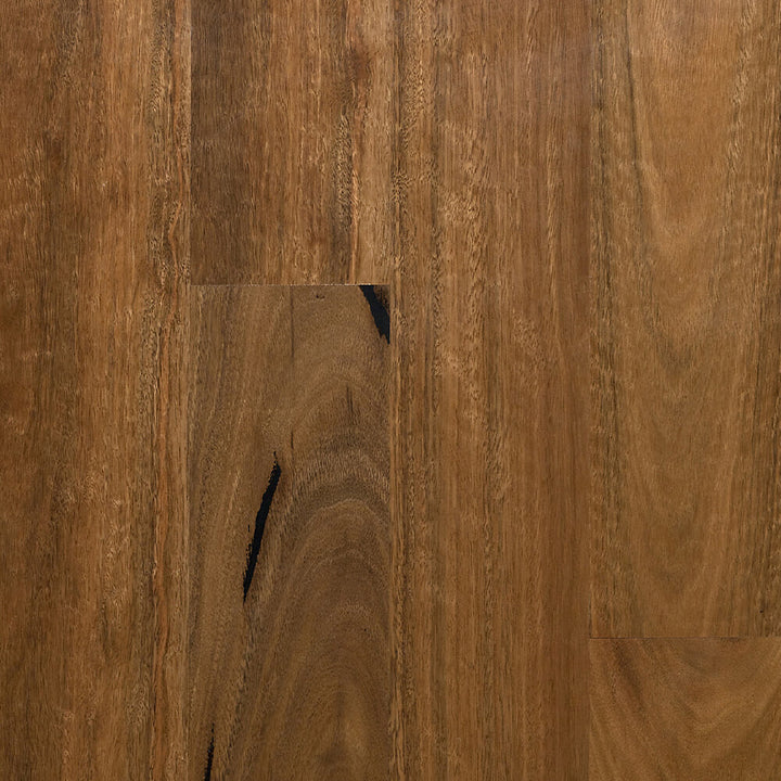 MB Spotted Gum