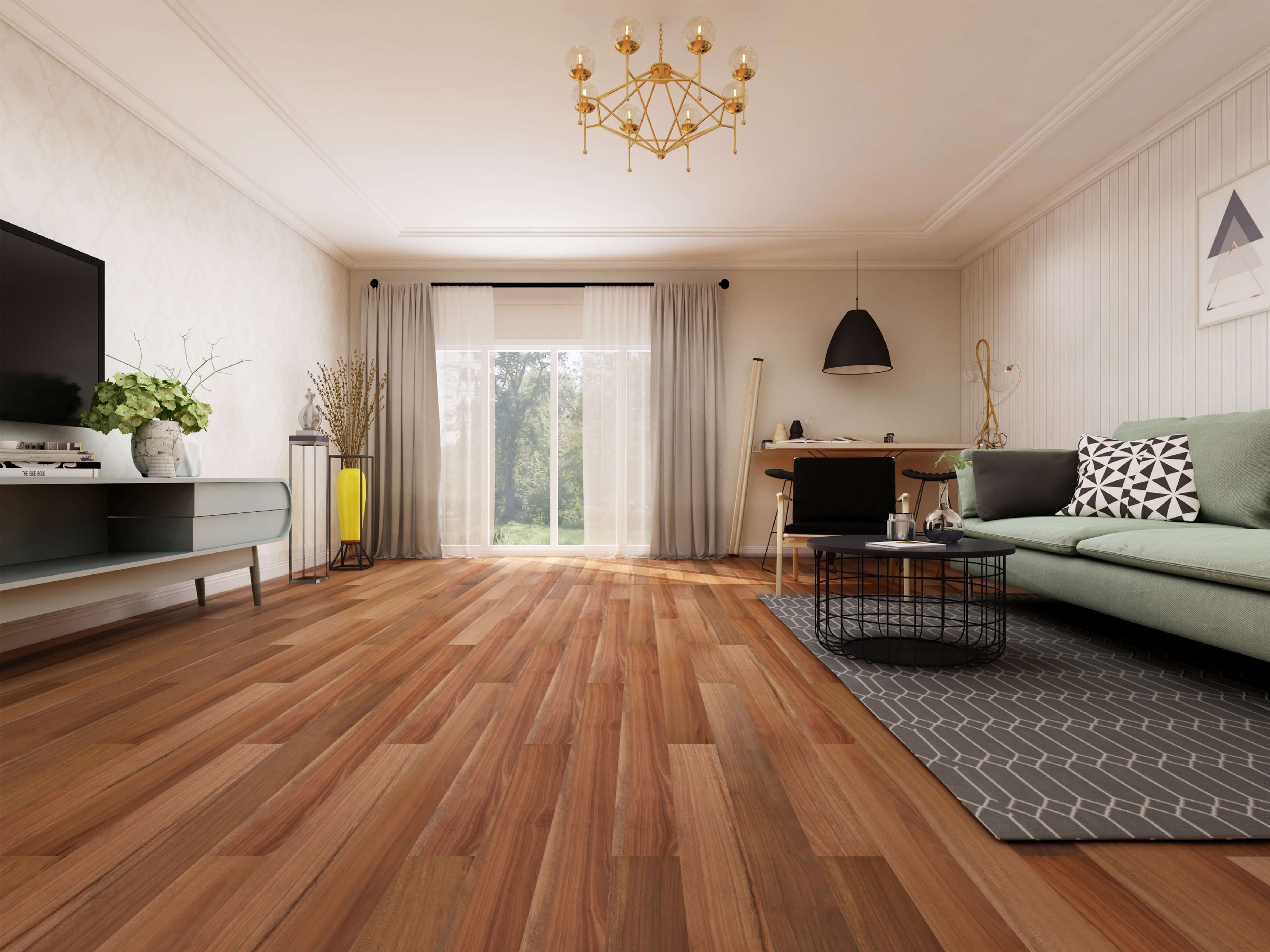 Spotted Gum