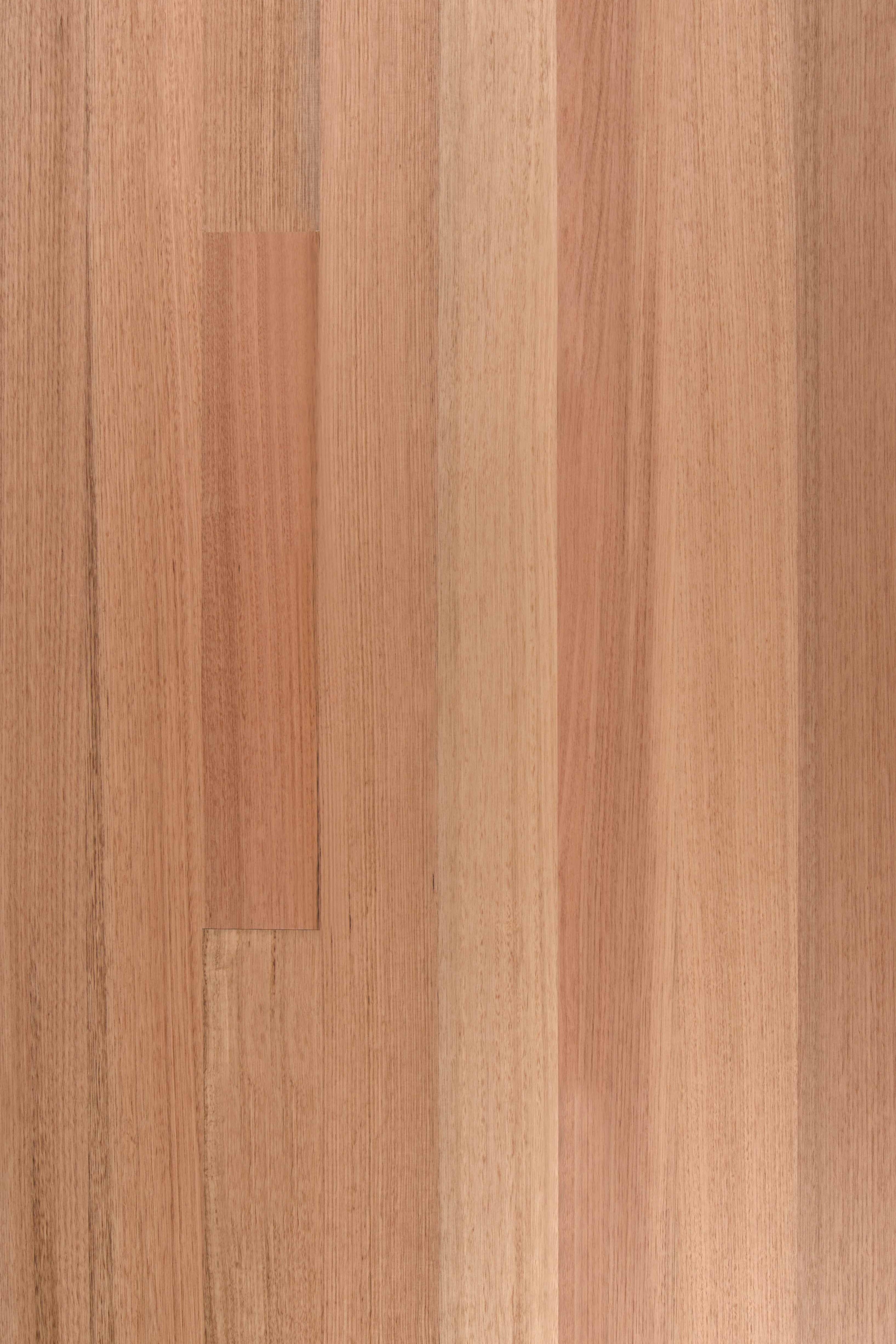 Tasmanian Oak