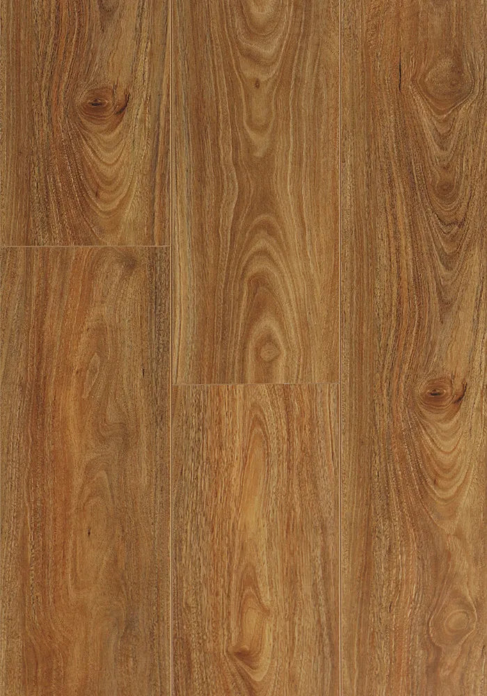 Spotted Gum- Aqua