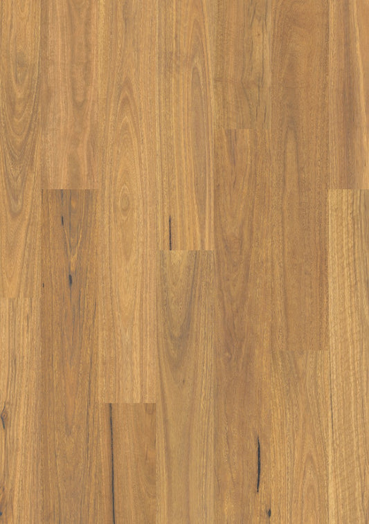 Pure spotted gum