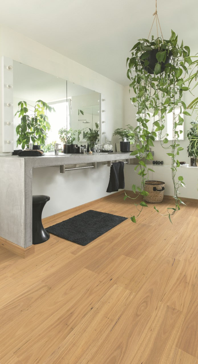 Pure Blackbutt