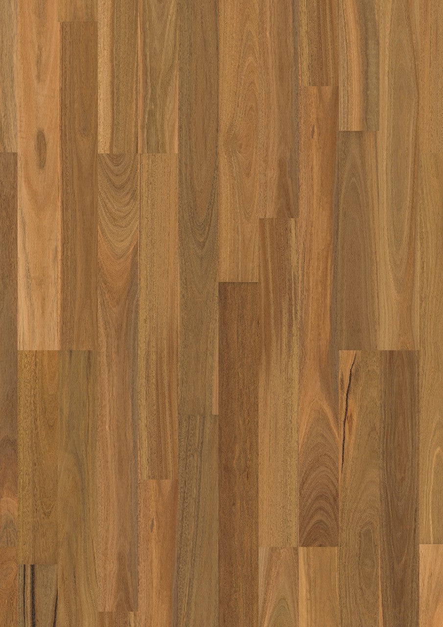 Spotted Gum 2S HS
