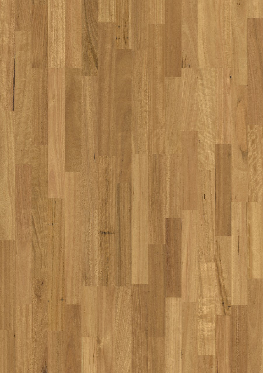 Blackbutt 3S M