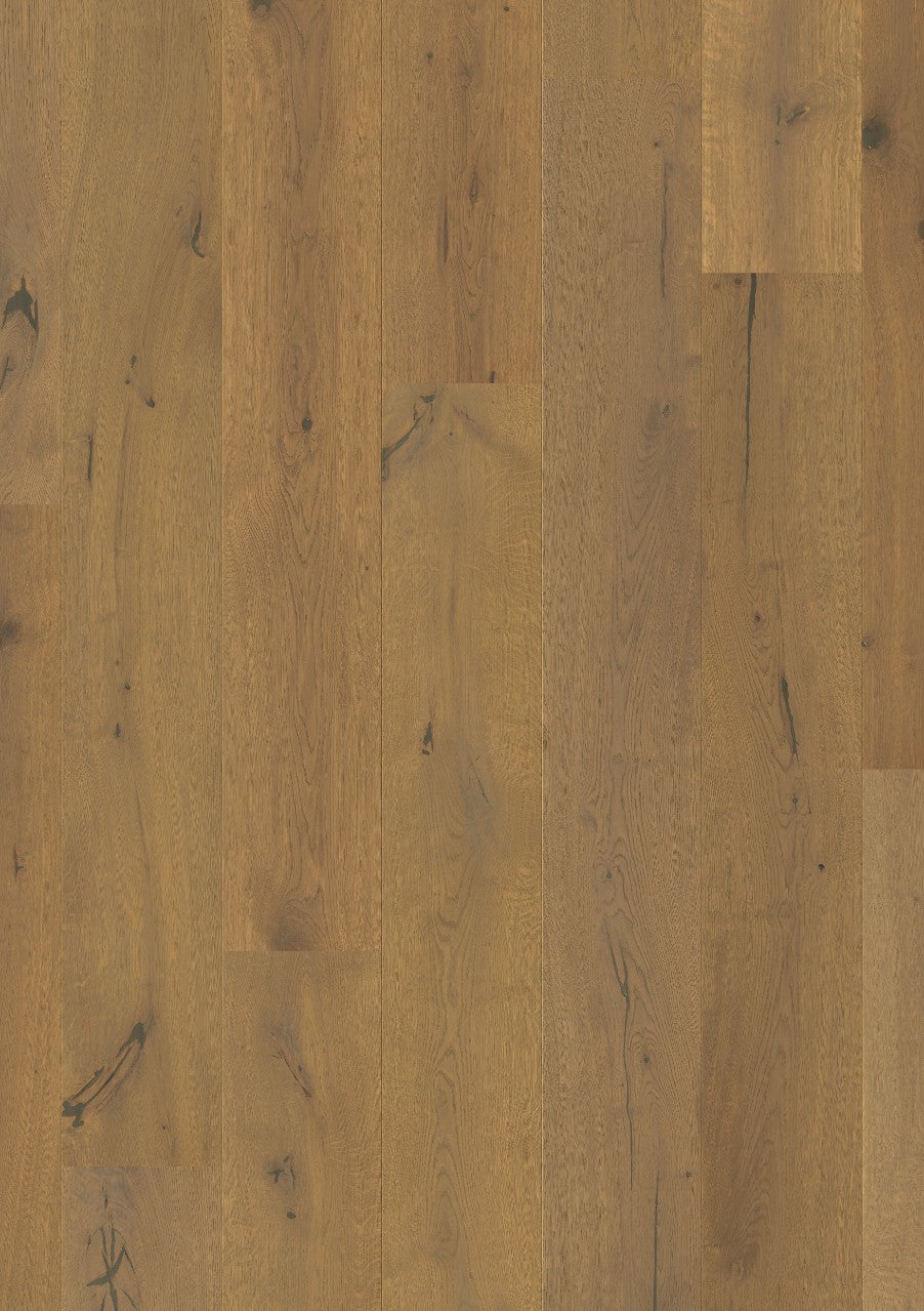 Bronze Oak Extra Matt