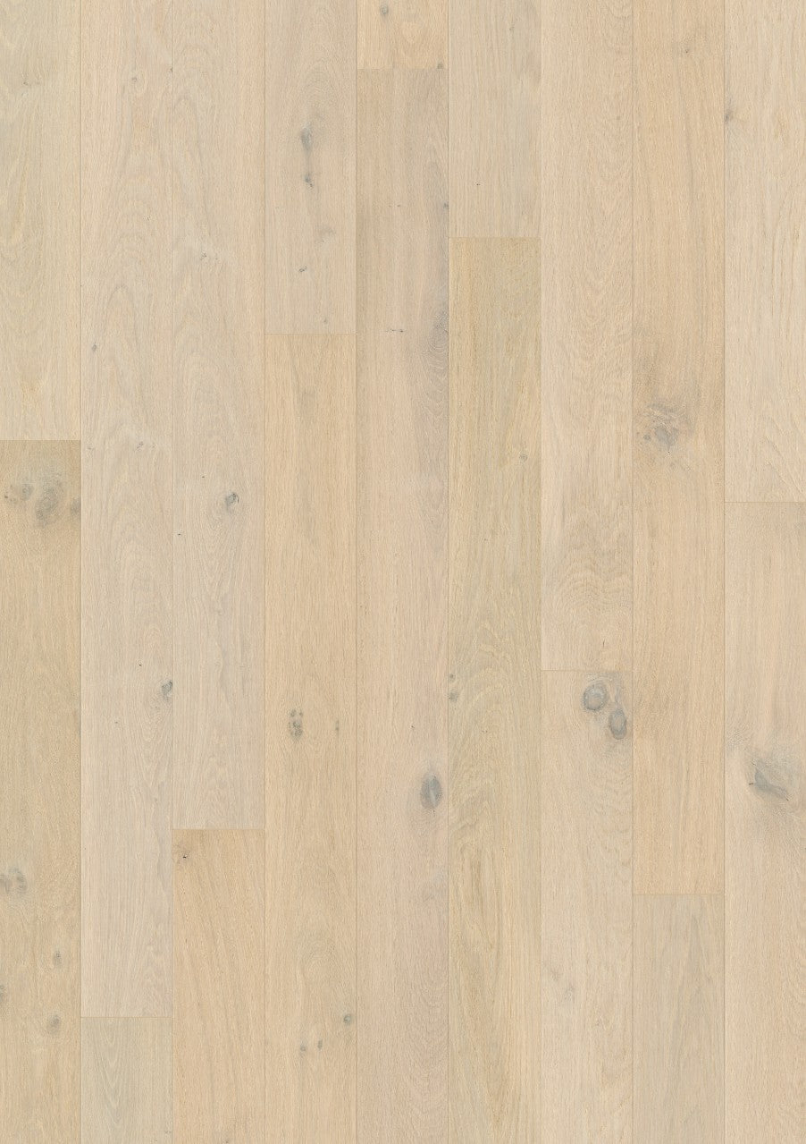 Wintry forest oak extra matt