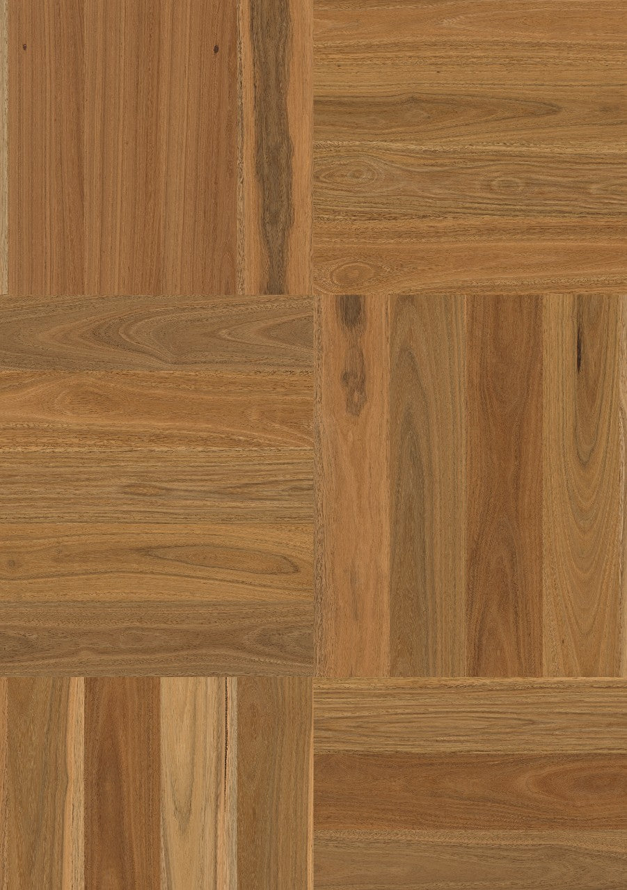 Spotted Gum