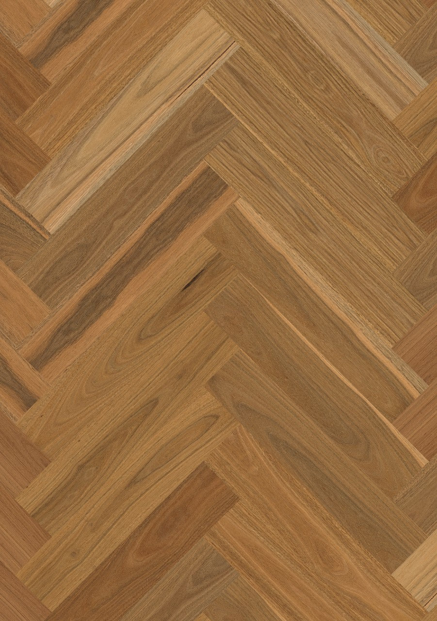 Spotted Gum