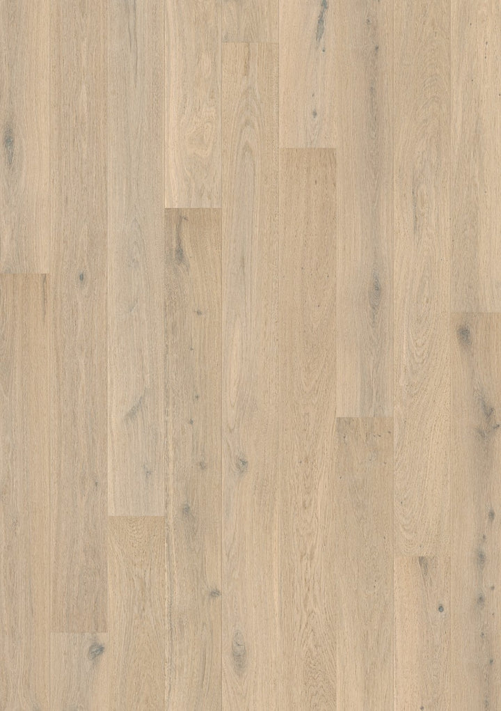 Creamy White Oak Extra Matt