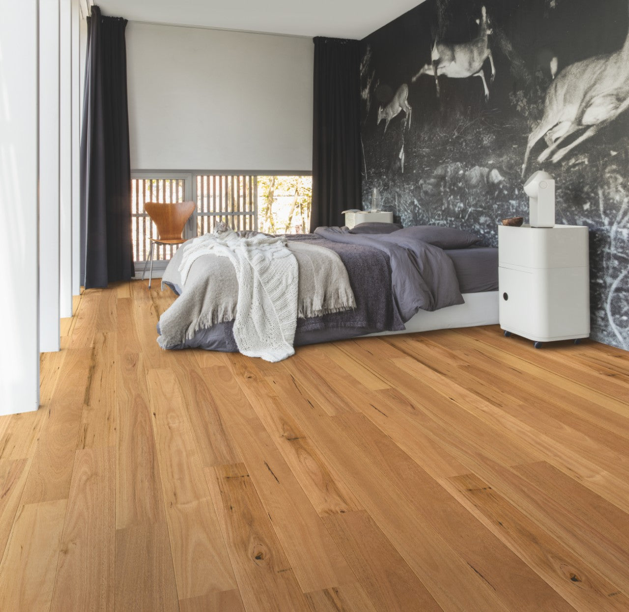 Blackbutt