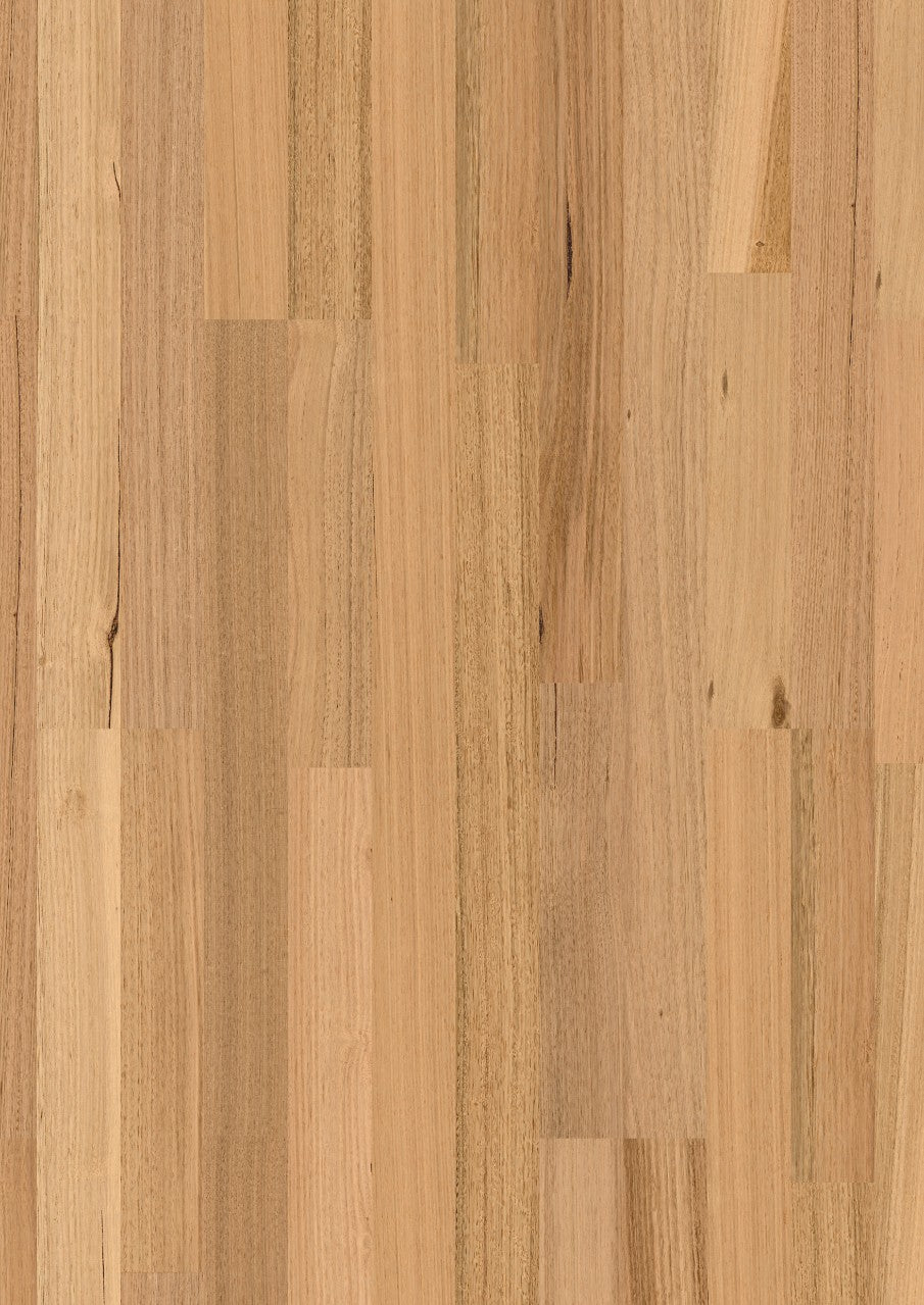 Tasmanian Oak 2S MB