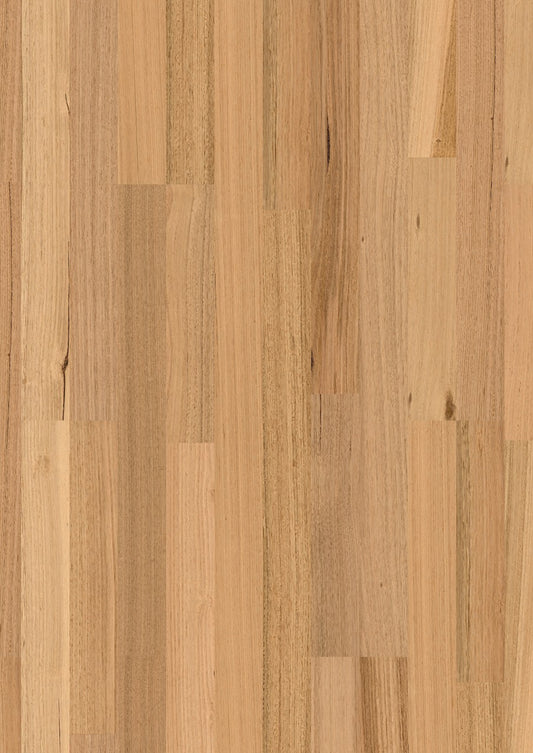 Tasmanian Oak 2S MB