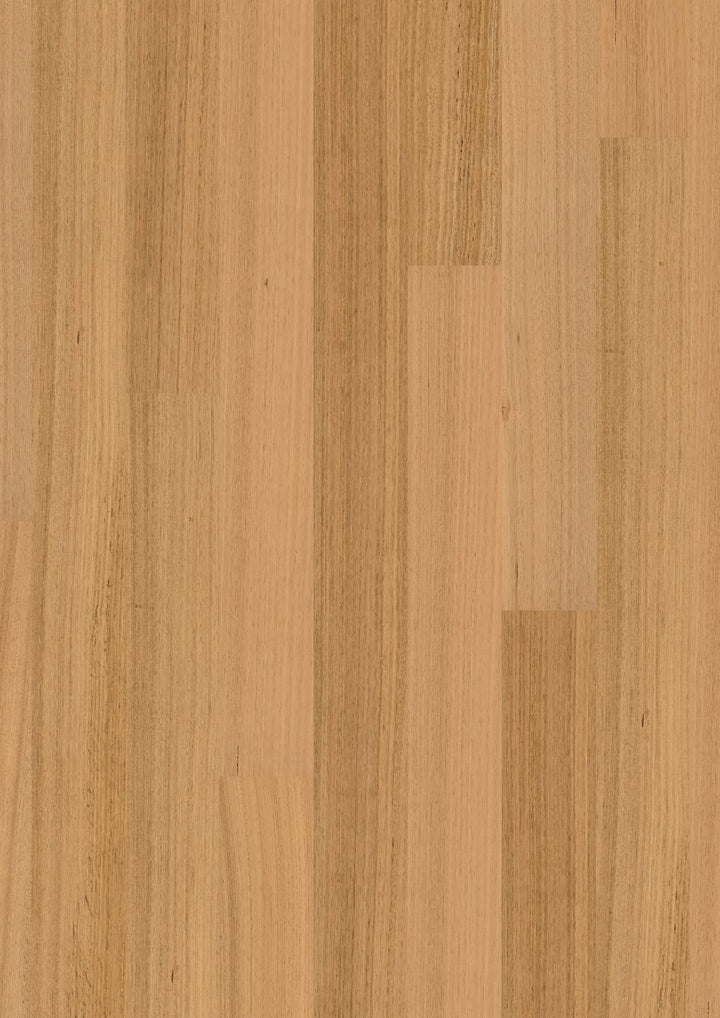 Tasmanian Oak 1S MB