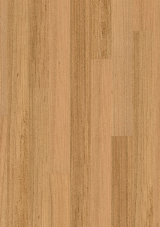 Tasmanian Oak 1S MB