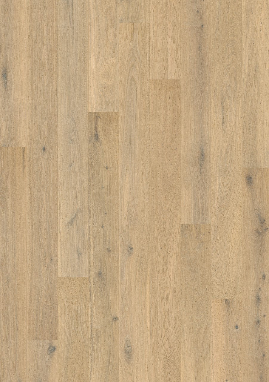 Pure oak extra matt